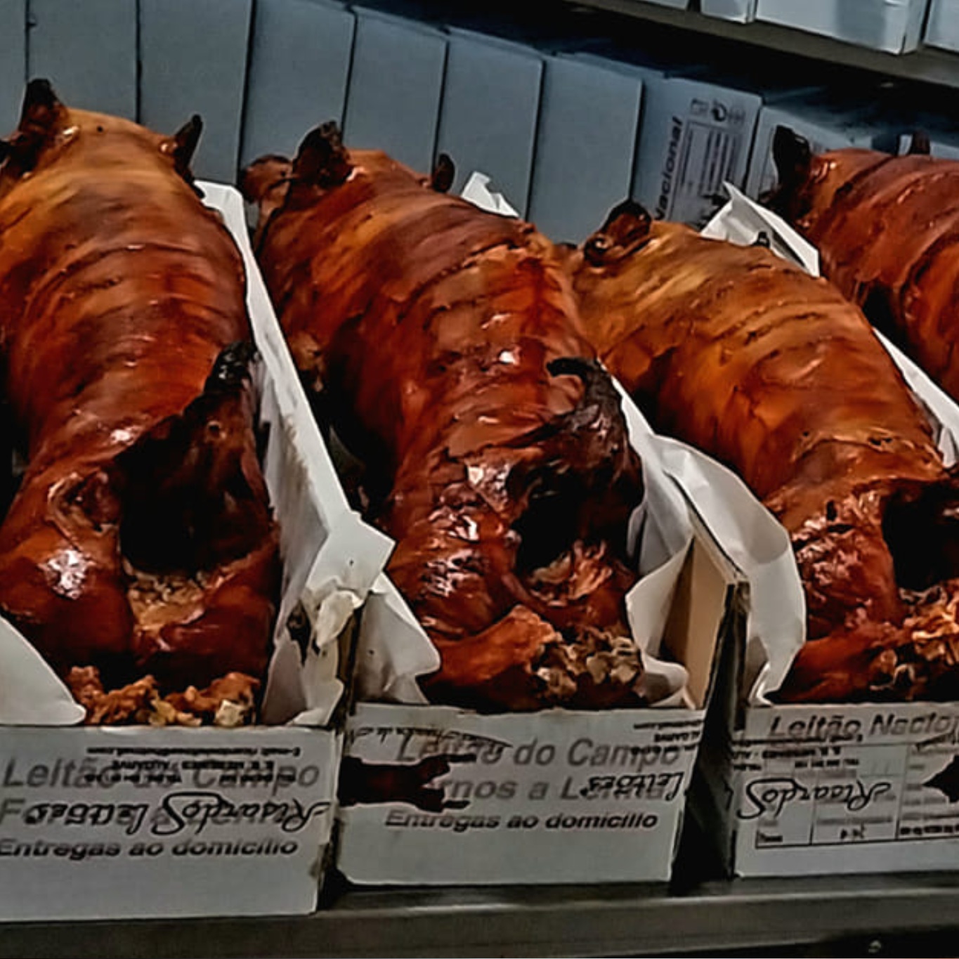 Leitão Assado - Imagem 2